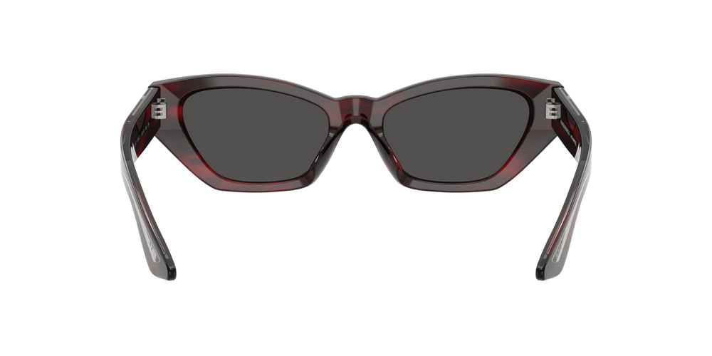 Oliver Peoples 1961C con montatura Bark bordeaux e lenti  Grigio - immagine 5