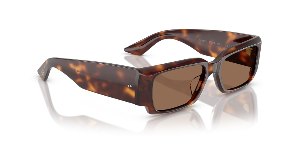 Oliver Peoples 1995C with Dark Mahogany frame and Brown lenses - Image 3