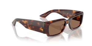 Oliver Peoples 1995C with Dark Mahogany frame and Brown lenses - image 3