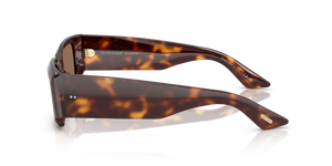 Oliver Peoples 1995C with Dark Mahogany frame and Brown lenses - Image 4