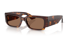 Oliver Peoples 1995C with Dark Mahogany frame and Brown lenses - image 1