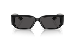 Oliver Peoples 1995C with Black frame and Grey lenses - Image 2