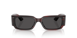 Oliver Peoples 1995C con montatura Bark bordeaux e lenti  Grigio - L'immagine 2