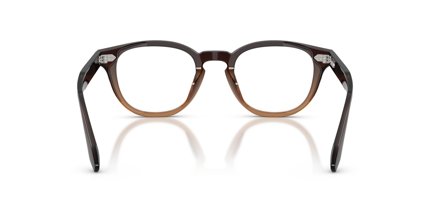 Oliver Peoples N.09 avec monture Driftwood Gradient - Image Plaquettes de nez