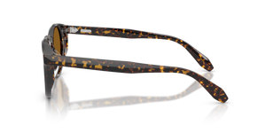 Oliver Peoples N.07 Sun with Atago Tortoise frame and Brown lenses - Image 4