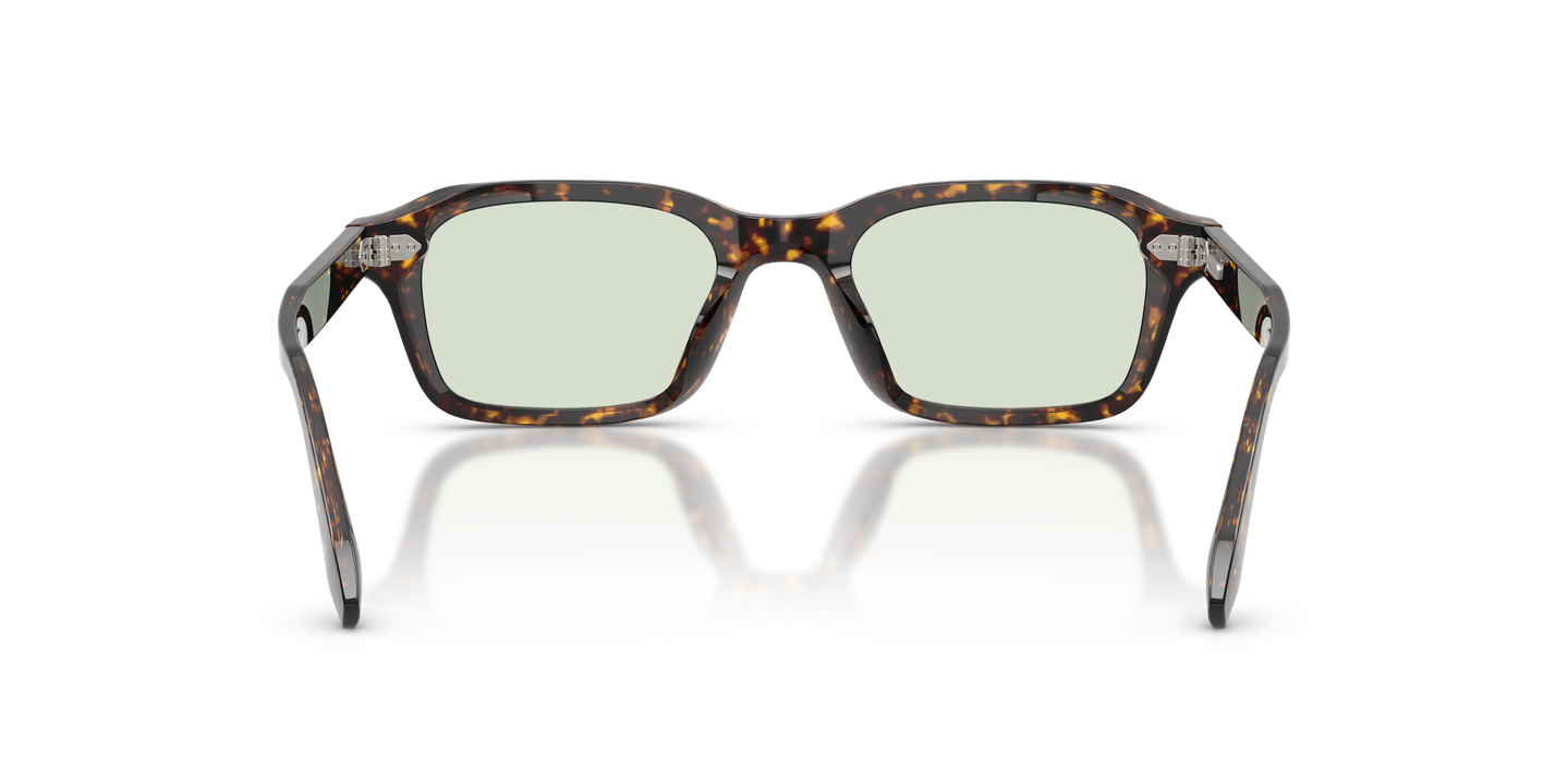 Oliver Peoples N.08 Sun with Atago Tortoise frame and Fern Wash To