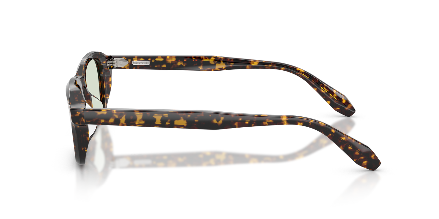 Oliver Peoples N.08 Sun with Atago Tortoise frame and Fern Wash To