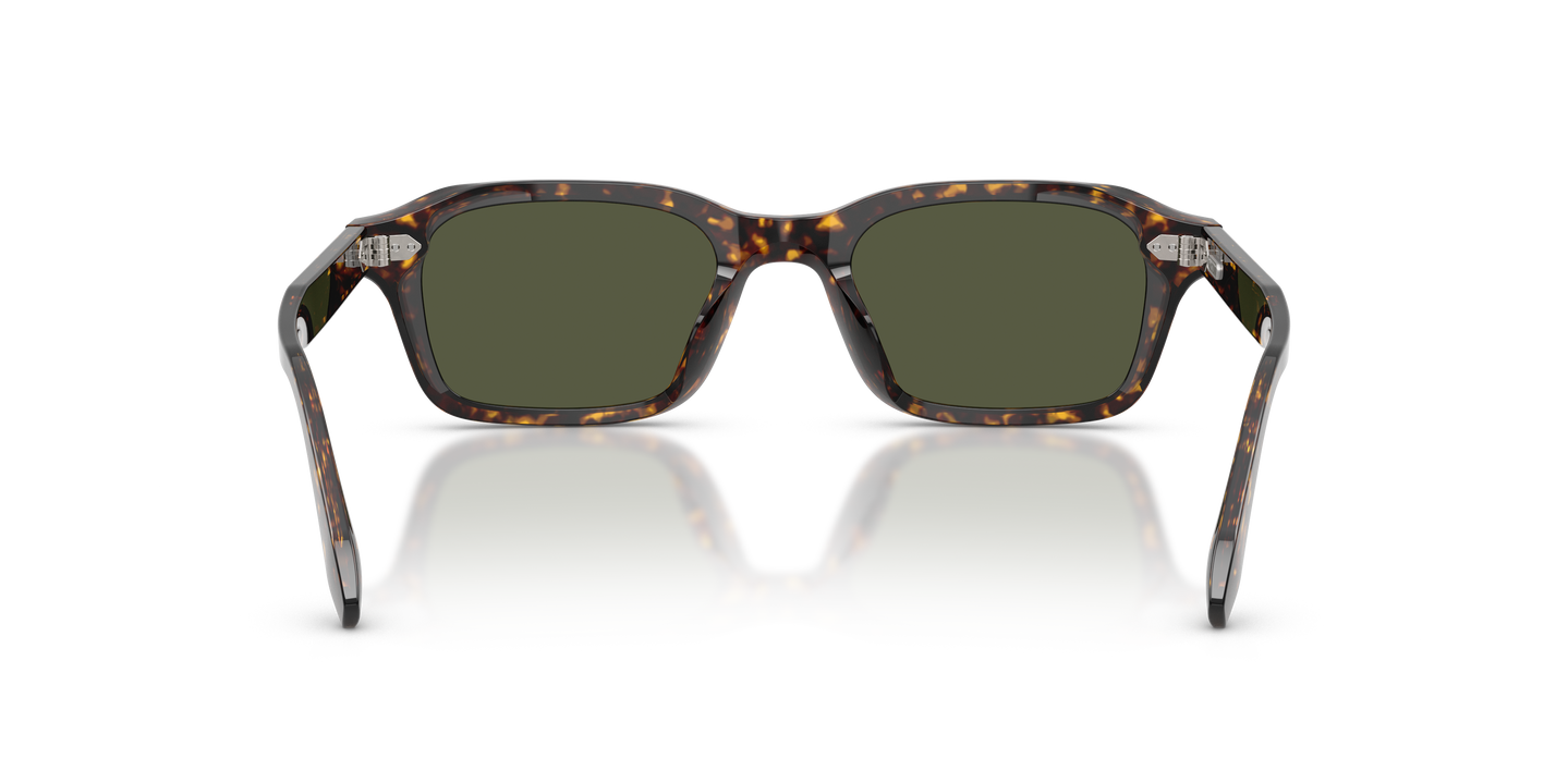 Oliver Peoples N.08 Sun with Atago Tortoise frame and G-15 lenses