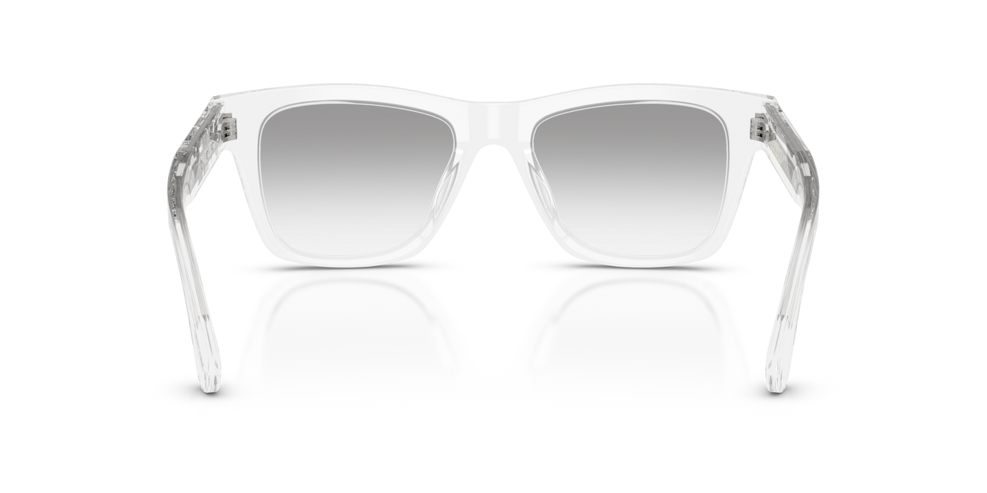 Oliver Peoples Alex Israel with Crystal frame and Silver lenses - Image Nosepads