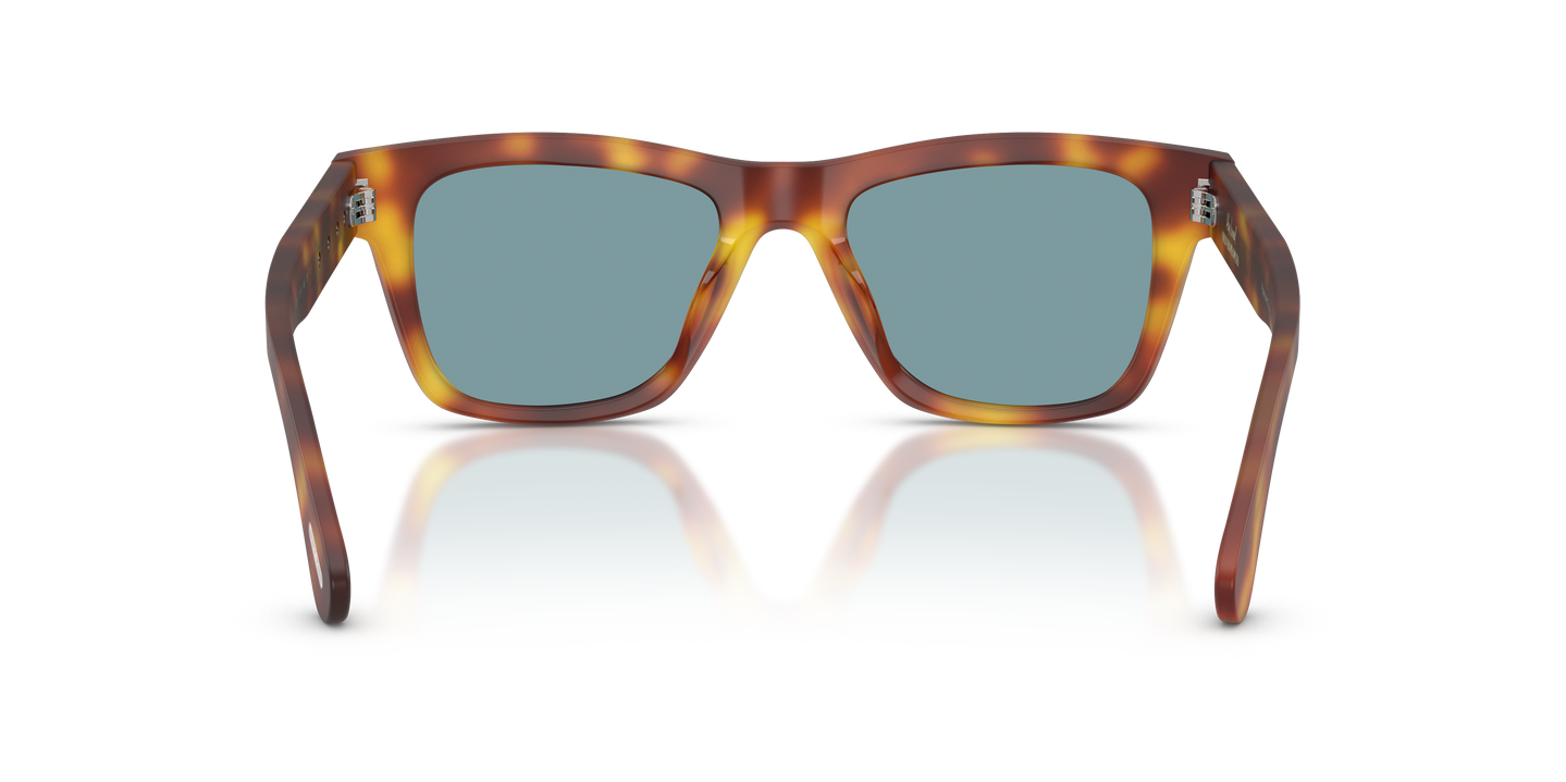 Oliver Peoples Alex Israel with Semi Matte LBR frame and Teal