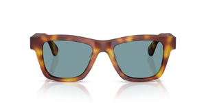 Oliver Peoples Alex Israel with Semi Matte LBR frame and Green lenses - Image 2