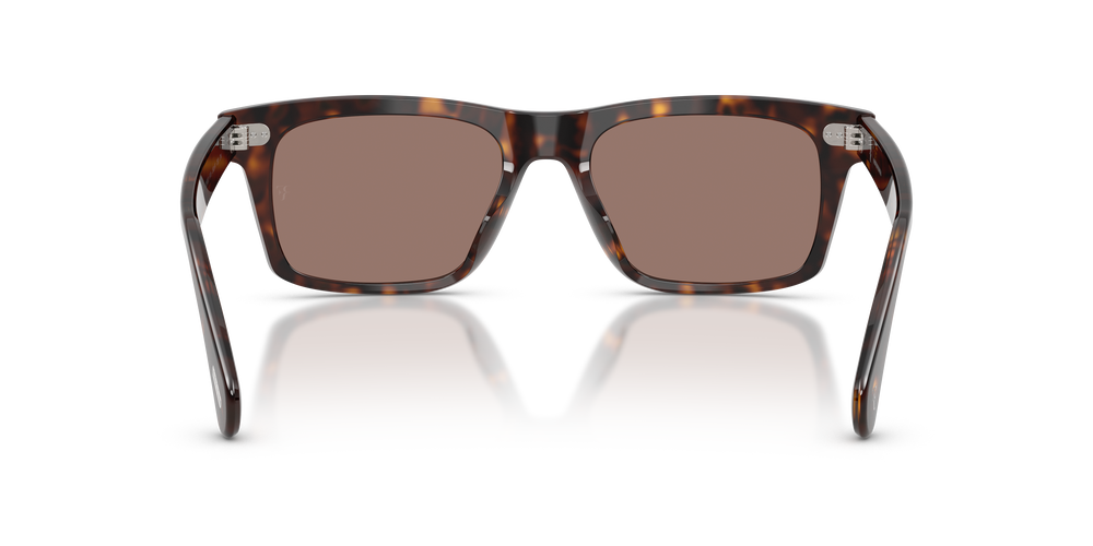 Sie Oliver Peoples R-16 mit 362 Gestell und Braun Gläsern - Das Bild 5