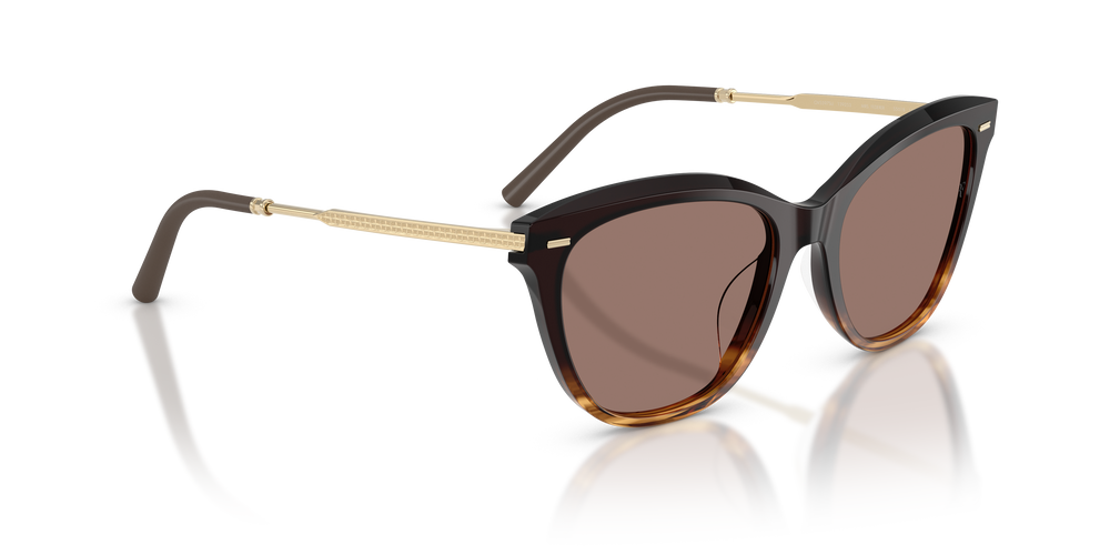 Sie Oliver Peoples Mrs. Federer mit Cortado Gestell und Braun Gläsern - Das Bild 3