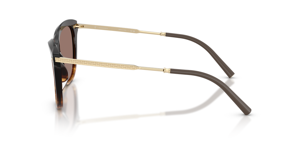 Sie Oliver Peoples Mrs. Federer mit Cortado Gestell und Braun Gläsern - Das Bild 4