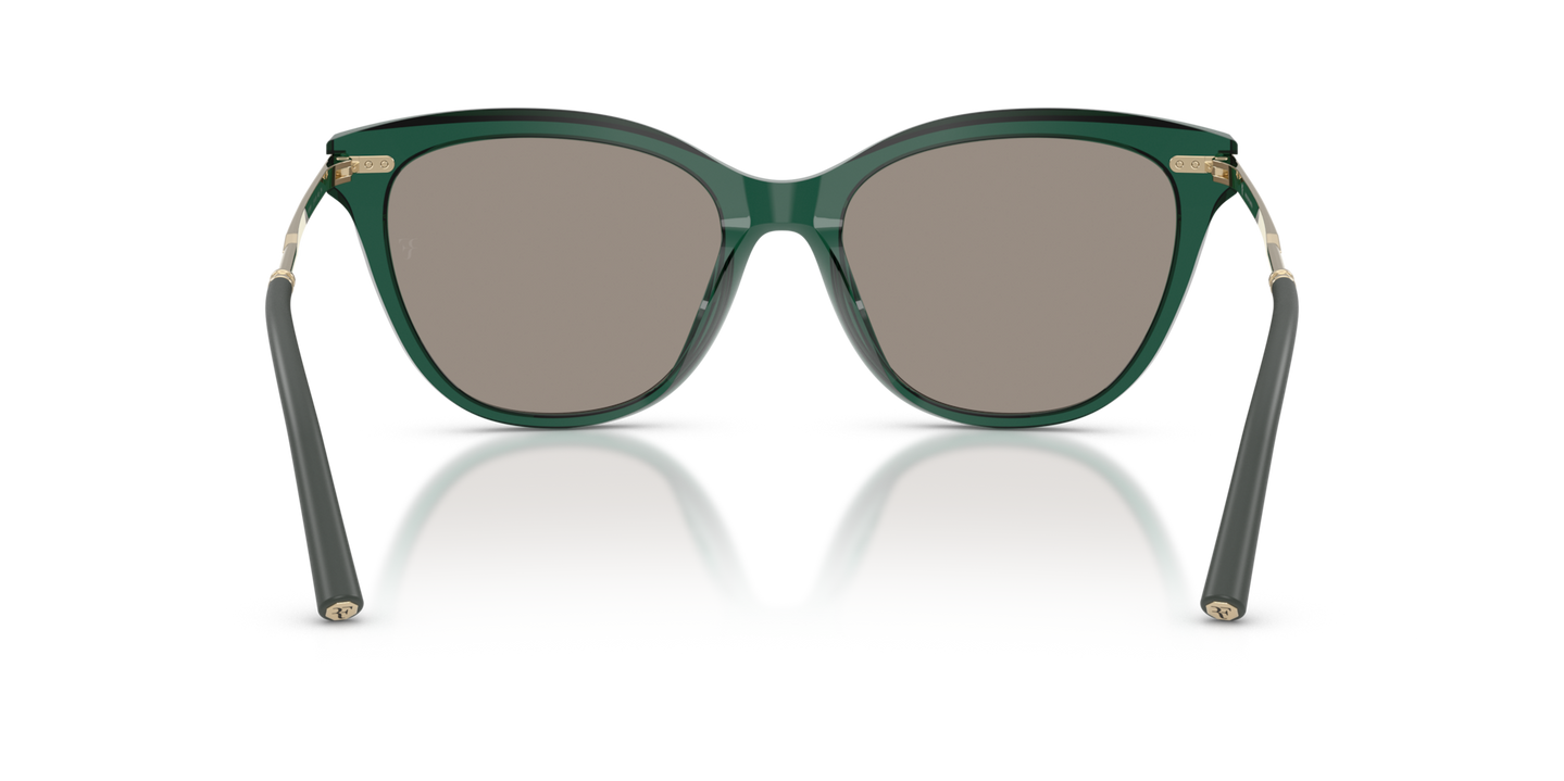 Oliver Peoples Mrs. Federer with Translucent Dark Teal frame and Gold lenses - Image Nosepads