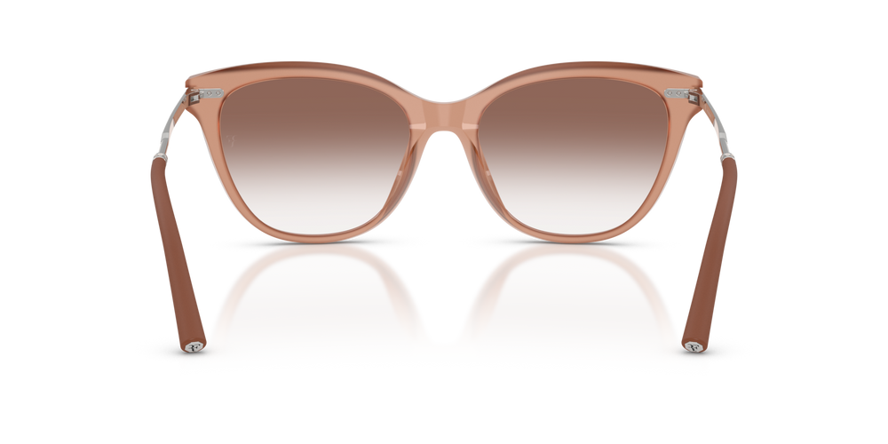 Oliver Peoples Mrs. Federer avec une monture Hibiscus et des verres Brun - image 5