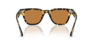 Oliver Peoples Rueny with Tokyo Tortoise frame and Brown lenses - image 5