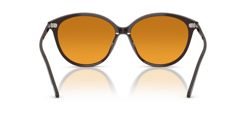 Oliver Peoples Soleau with Kuri Brown frame and Brown lenses - Image 5