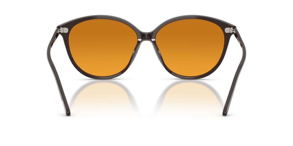 Oliver Peoples Soleau con montura Marrón Kuri y lentes Marrón - imagen 5