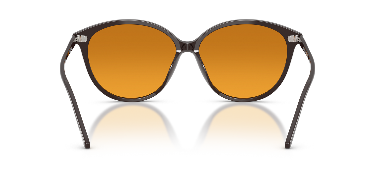 Oliver Peoples Soleau with Kuri Brown frame and Brown lenses - Image Nosepads