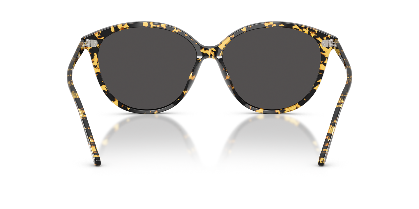 Oliver Peoples Soleau avec une monture Écaille de tortue Tokyo et des verres Gris - Image Plaquettes de nez