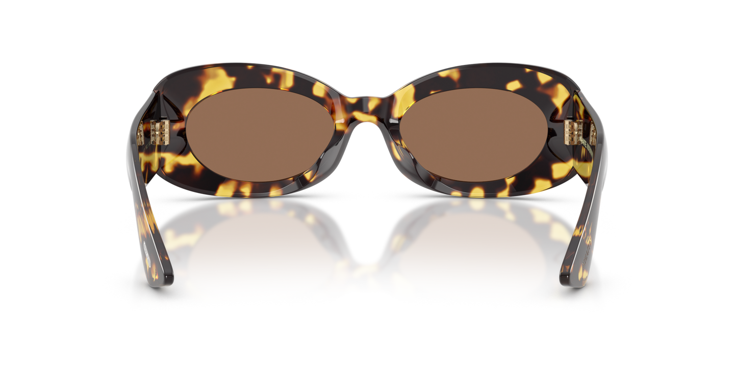Oliver Peoples 1992C avec une monture Vintage Dtb et des verres Brun - Image Plaquettes de nez