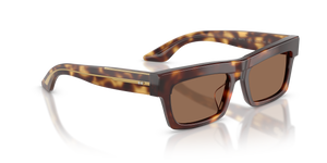 Oliver Peoples 1985C con montatura Mogano scuro e lenti  Marrone - L'immagine 3