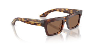 Oliver Peoples 1985C with Dark Mahogany frame and Brown lenses - image 3