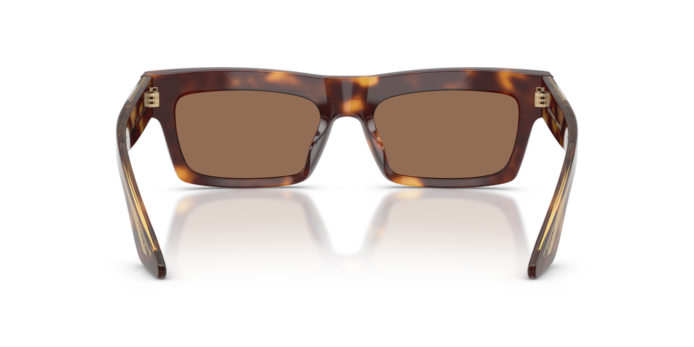Oliver Peoples 1985C con montatura Mogano scuro e lenti  Marrone - L'immagine 5