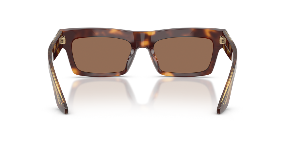 Oliver Peoples 1985C with Dark Mahogany frame and Brown lenses - image 5