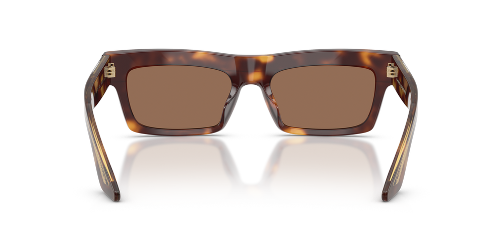 Oliver Peoples 1985C with Dark Mahogany frame and Brown lenses