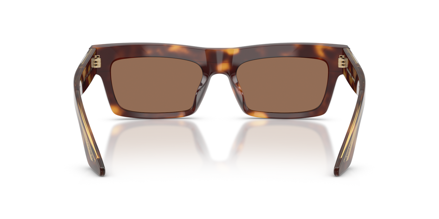 Oliver Peoples 1985C with Dark Mahogany frame and Brown lenses - Image Nosepads