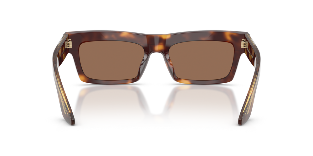 Oliver Peoples 1985C with Dark Mahogany frame and Brown lenses - image 5