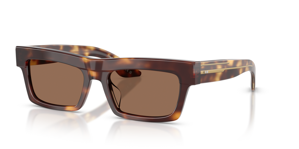 Oliver Peoples 1985C with Dark Mahogany frame and Brown lenses - image 3