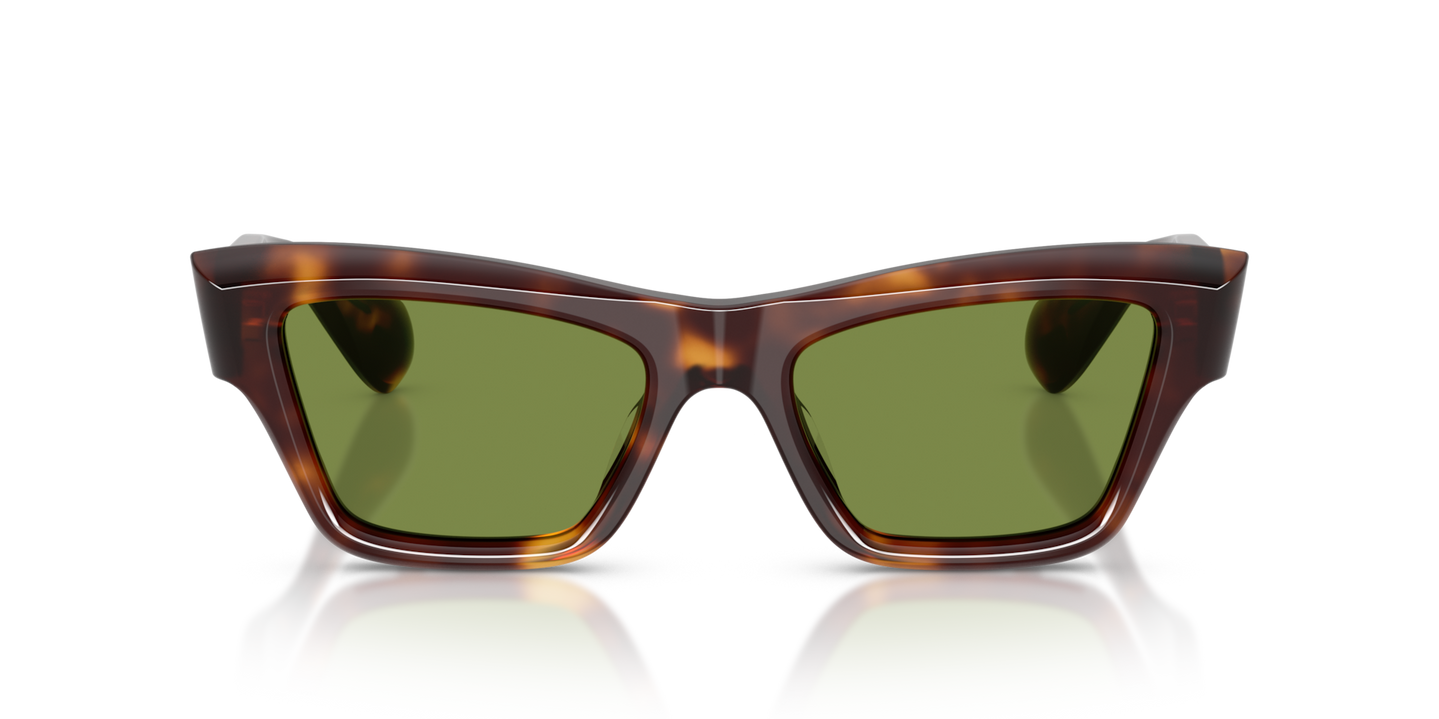 Sie Oliver Peoples Edition 3 mit Mahagoni dunkel Gestell und Grün Gläsern - Bild Material