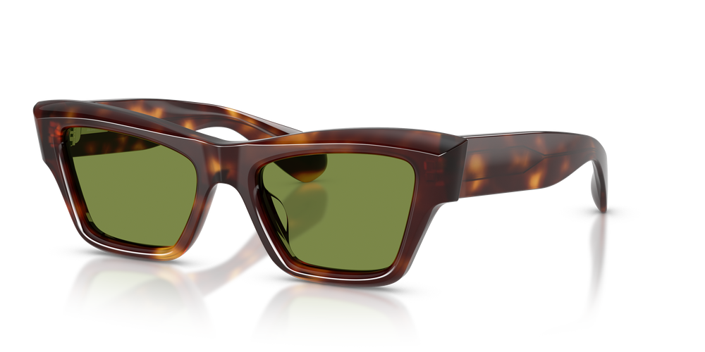 Oliver Peoples Edition 3 con montatura Mogano scuro e lenti  Verde - L'immagine 3