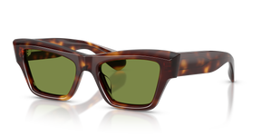 Oliver Peoples Edition 3 con montatura Mogano scuro e lenti  Verde - L'immagine 1