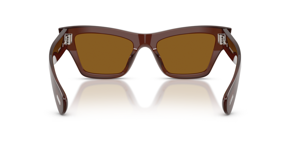 Oliver Peoples Edition 3 with Moka frame and Brown lenses - image 5