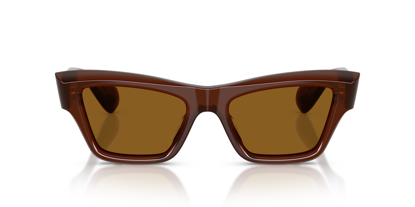 Oliver Peoples Edition 3 with Moka frame and Brown lenses - Image Material 