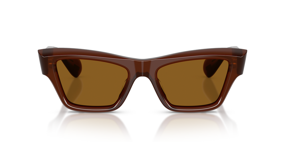 Oliver Peoples Edition 3 with Moka frame and Brown lenses - image 2