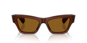 Oliver Peoples Edition 3 with Moka frame and Brown lenses - image 2