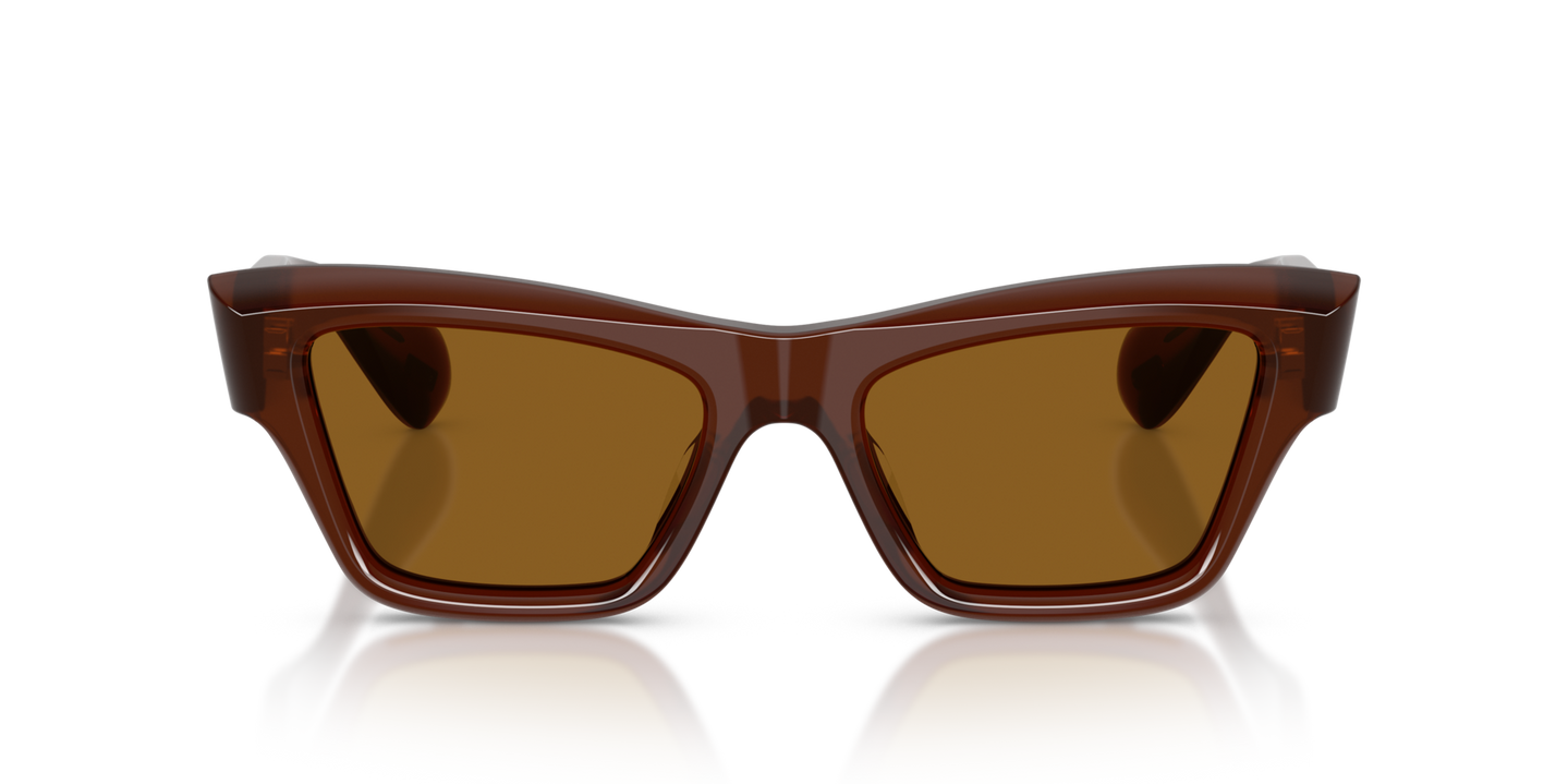 Oliver Peoples Edition 3 with Moka frame and Brown lenses - Image Material 