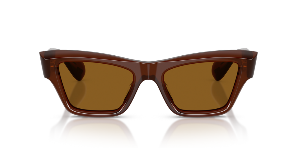 Oliver Peoples Edition 3 with Moka frame and Brown lenses - image 2