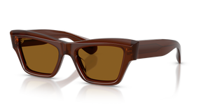 Oliver Peoples Edition 3 with Moka frame and Brown lenses - image 1