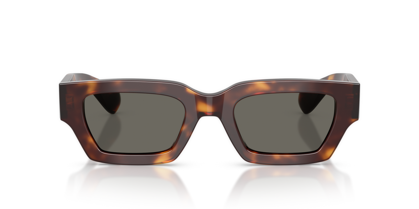 Sie Oliver Peoples Edition 6 mit Mahagoni dunkel Gestell und Grau Gläsern - Bild Material