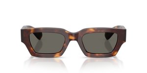 Sie Oliver Peoples Edition 6 mit Mahagoni dunkel Gestell und Grau Gläsern - bild 2