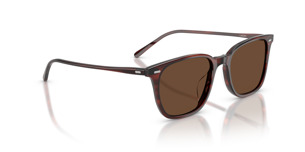 Oliver Peoples Laedin avec une monture Écaille de tortue violet et des verres Brun - L'image 3