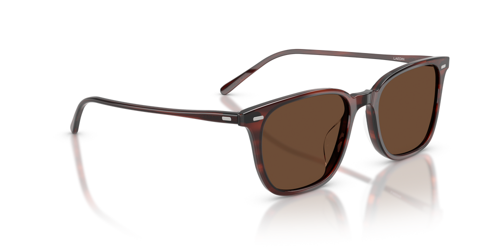 Oliver Peoples Laedin、モラド鼈甲フレーム、ブラウンレンズ - 画像 3
