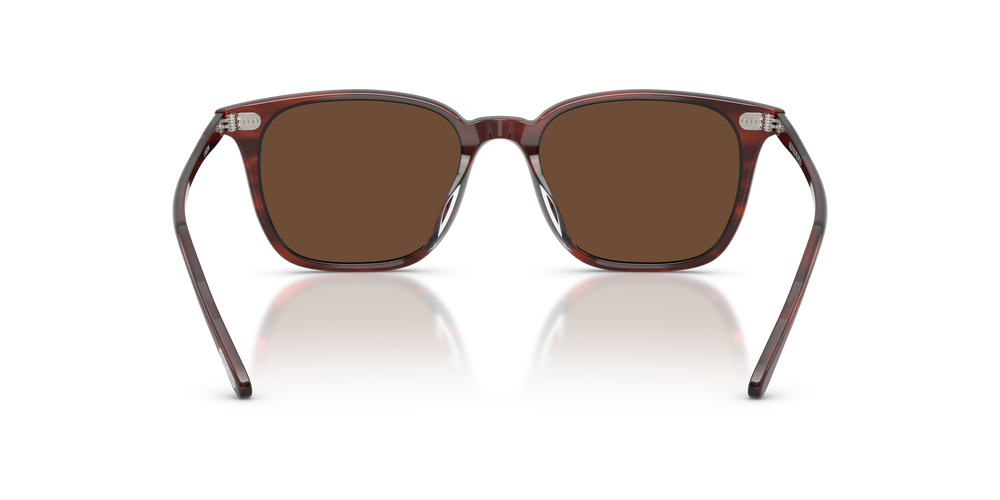 Oliver Peoples Laedin avec une monture Écaille de tortue violet et des verres Brun - L'image 5