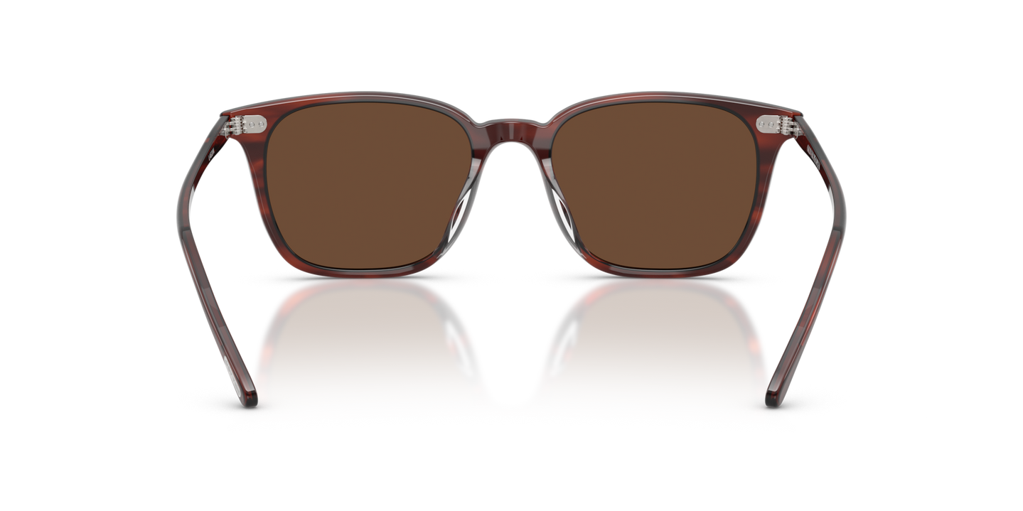Oliver Peoples Laedin、モラド鼈甲フレーム、ブラウンレンズ - 画像 ノーズパッド